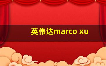 英伟达marco xu